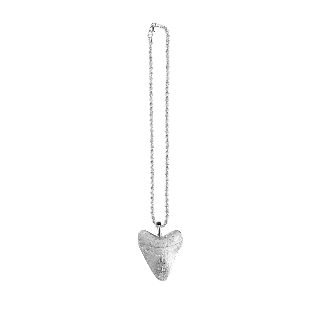 Shark Tooth Jewelry Gifts -Shark Tooth Pendant - Necklaces - Earrings ...