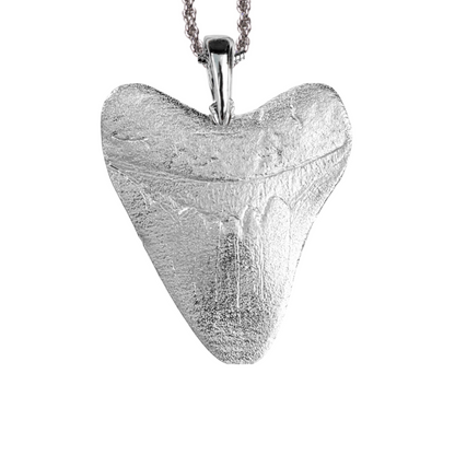Shark Tooth Gifts - Megalodon Tooth Jewelry