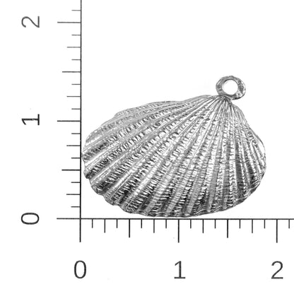 Wide Shell Pendant