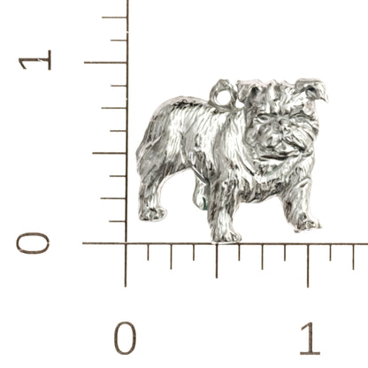 School Mascot Gifts for Wildcats, Tigers, Cougars, Bulldogs, and Lions - Team Spirit Essentials