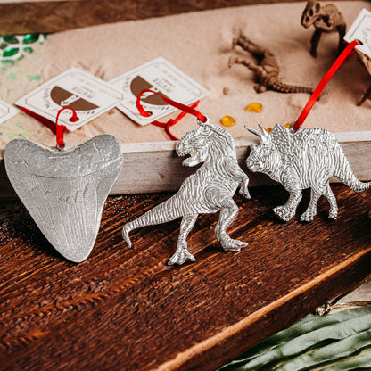 Dinosaur Gift Set
