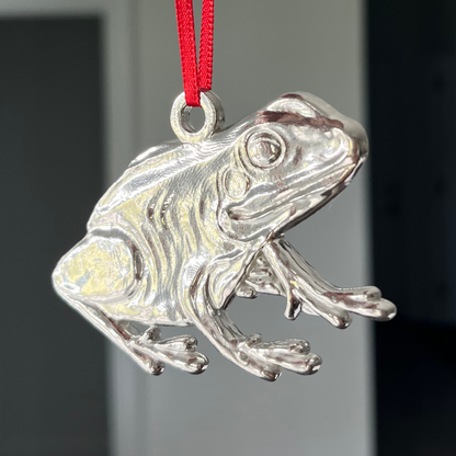 Silver Frog Gift