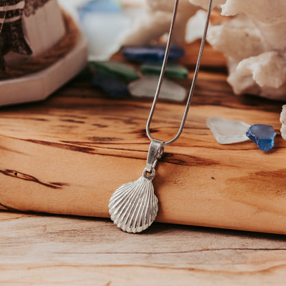 Small Shell Charm