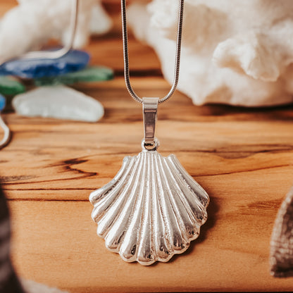 Shell Jewelry
