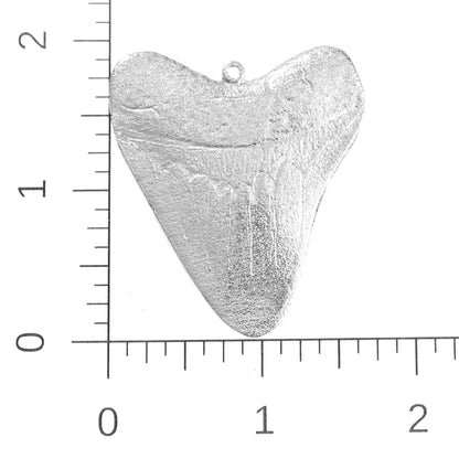 Shark Refrigerator Magnet - Megalodon - Shark Tooth