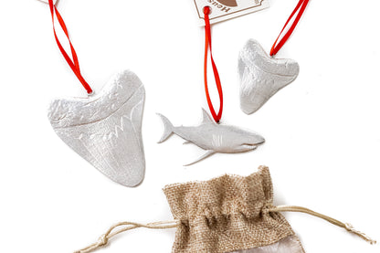 Shark and Shark Tooth Gift Set