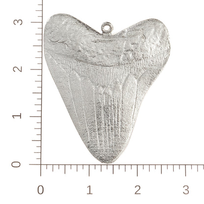 Shark Refrigerator Magnet - Megalodon - Shark Tooth