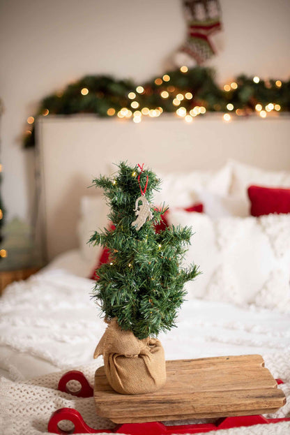 Alligator Christmas Ornament - Gator